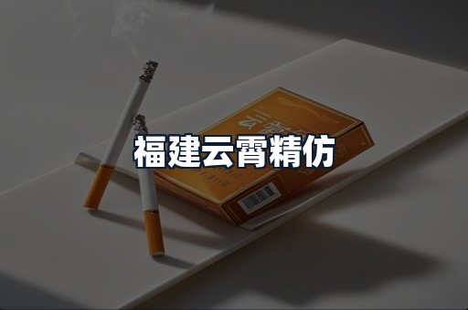 福建云霄精仿